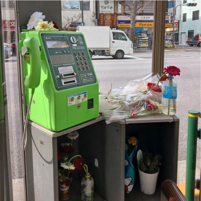 日本公共電話亭湧入大量花朵？原竟是「鏈鋸人」引發致敬亂象