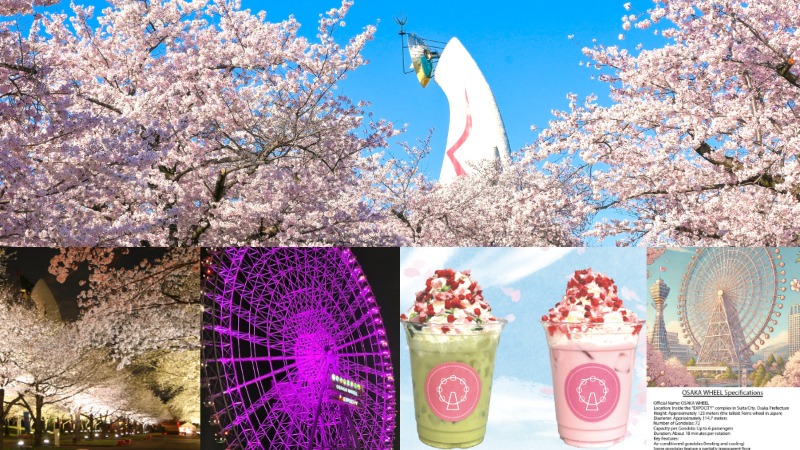 大阪萬博紀念公園「SAKURA EXPO 2025」3月20日登場！  漫步櫻花大道賞夜櫻、搭上日本最高摩天輪被櫻花包圍