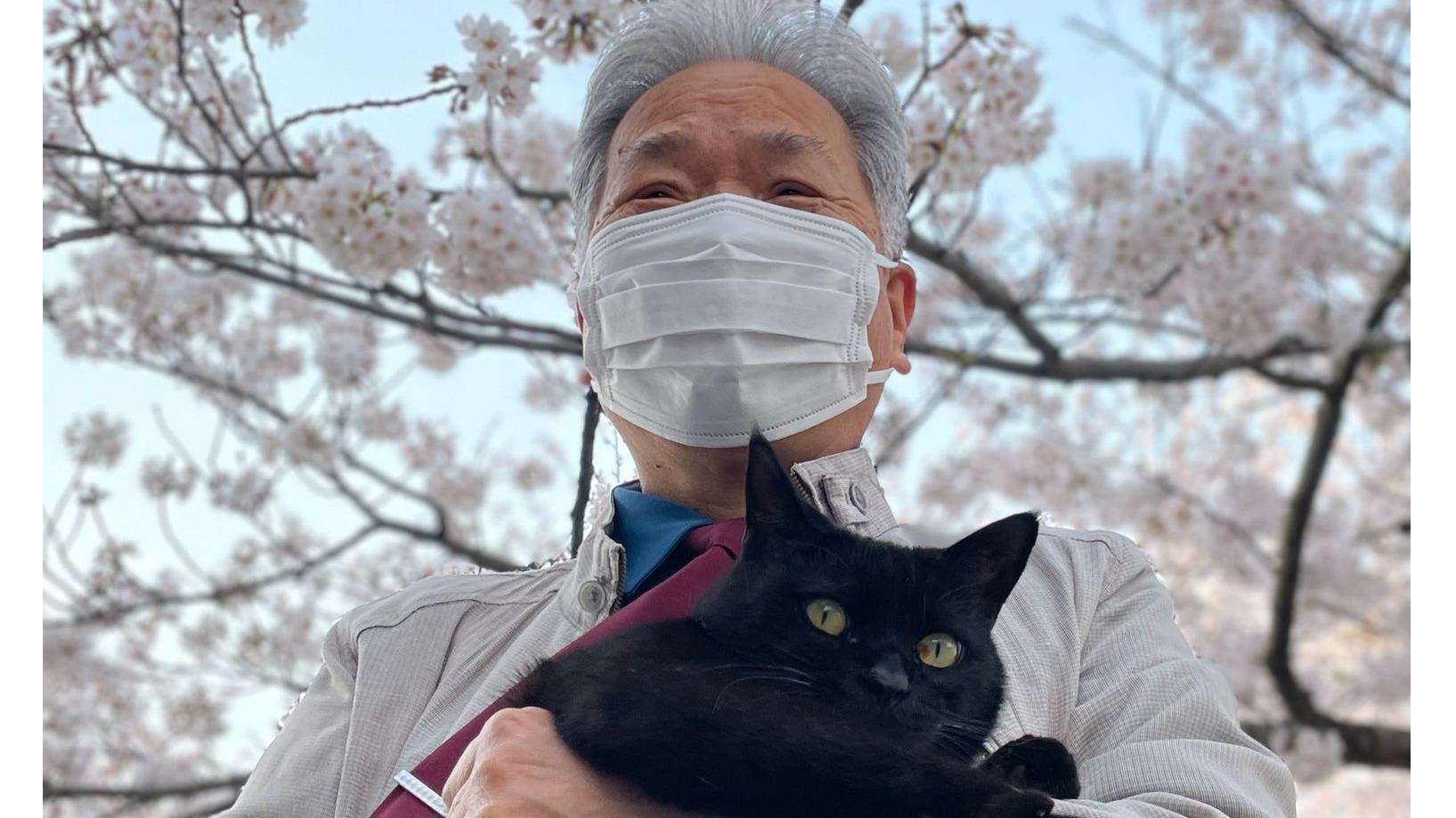 喜愛闖入尾道市美術館的貓前往天國！警衛不捨全日本網民超難過