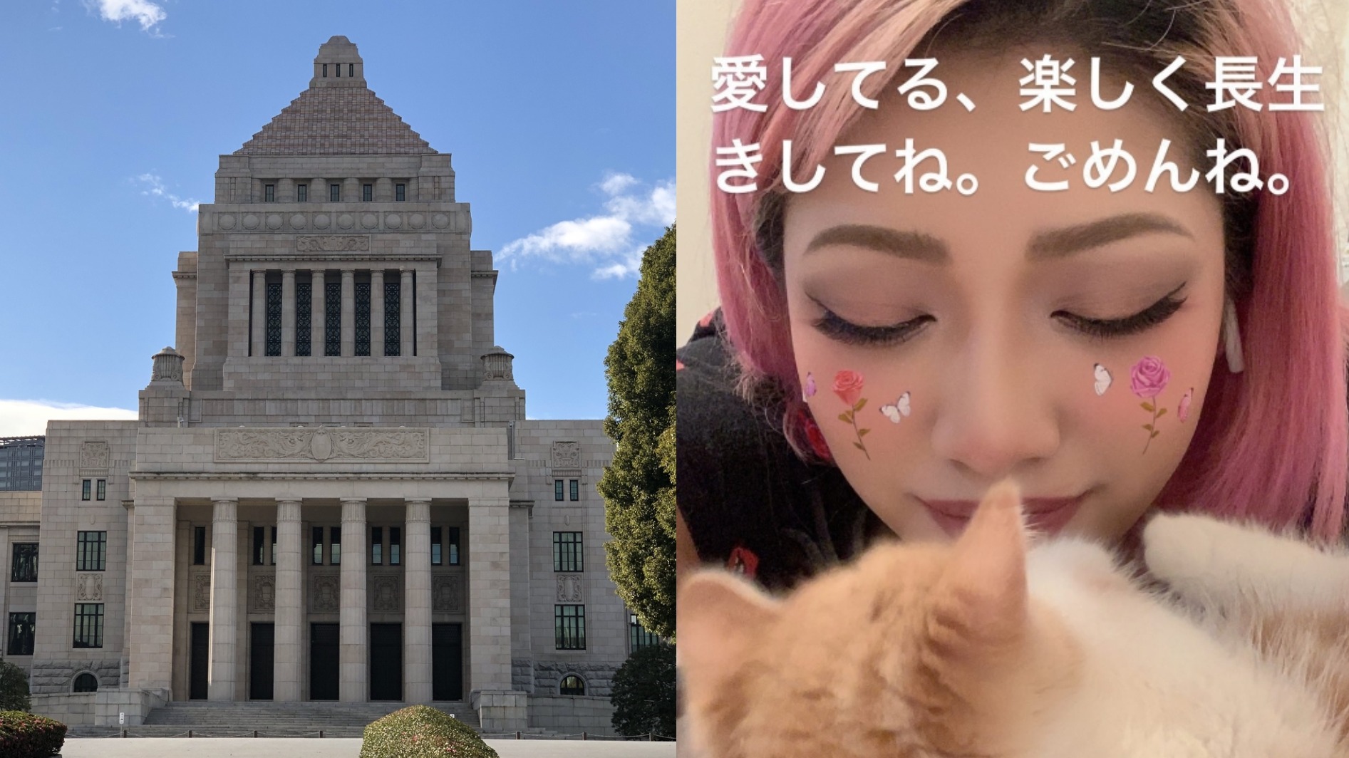 《雙層公寓》木村花之死的反動!日本表決通過侮辱罪嚴罰化改革案