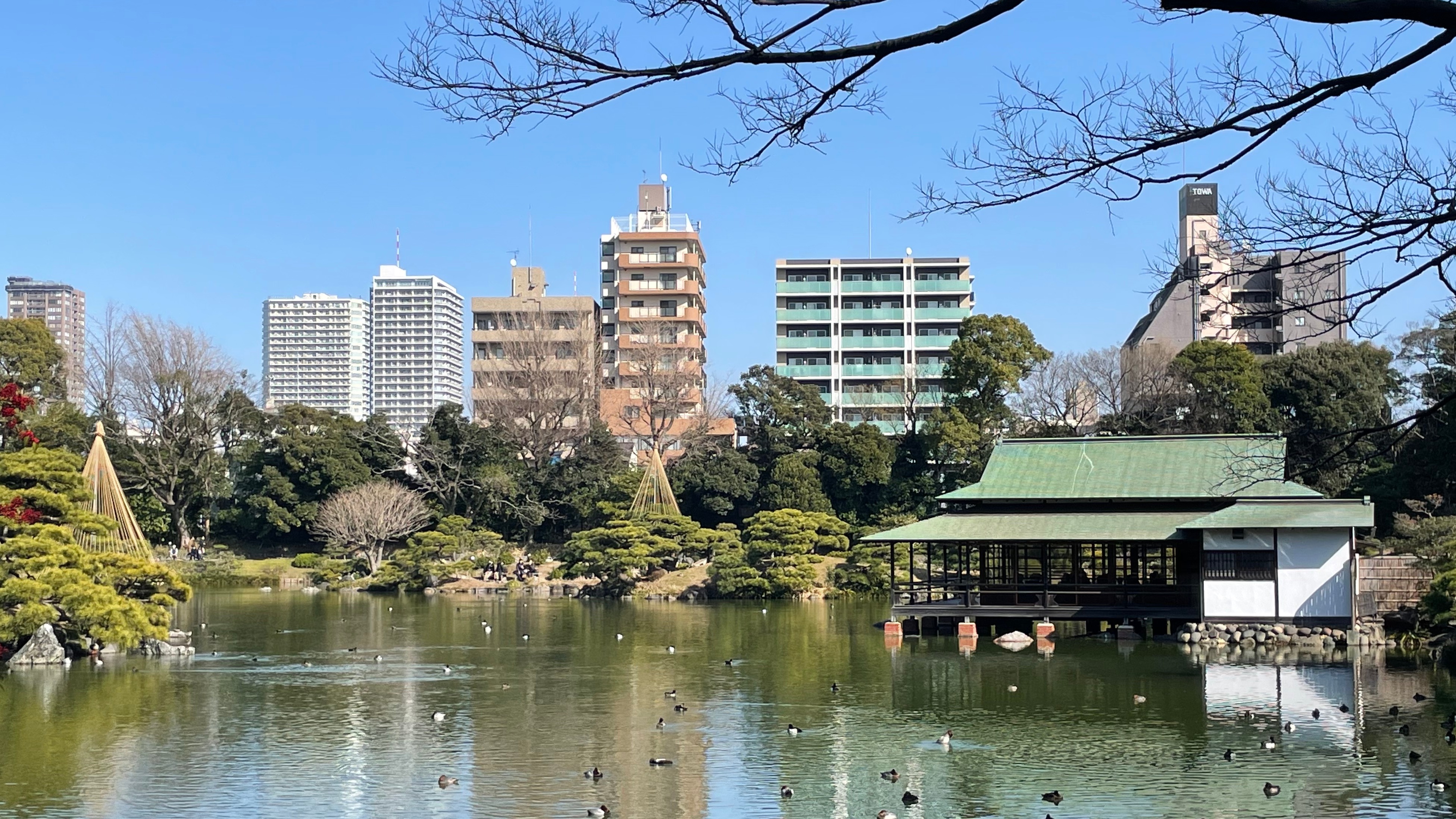 東京9大庭園之一「清澄庭園」,明治時代的回遊式林泉庭園,好散步又好拍照!