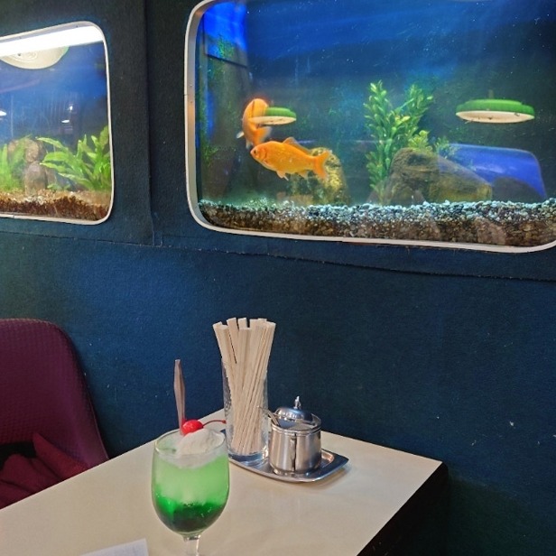彷彿置身在水族館當中，能觀賞小魚悠游的咖啡廳4選