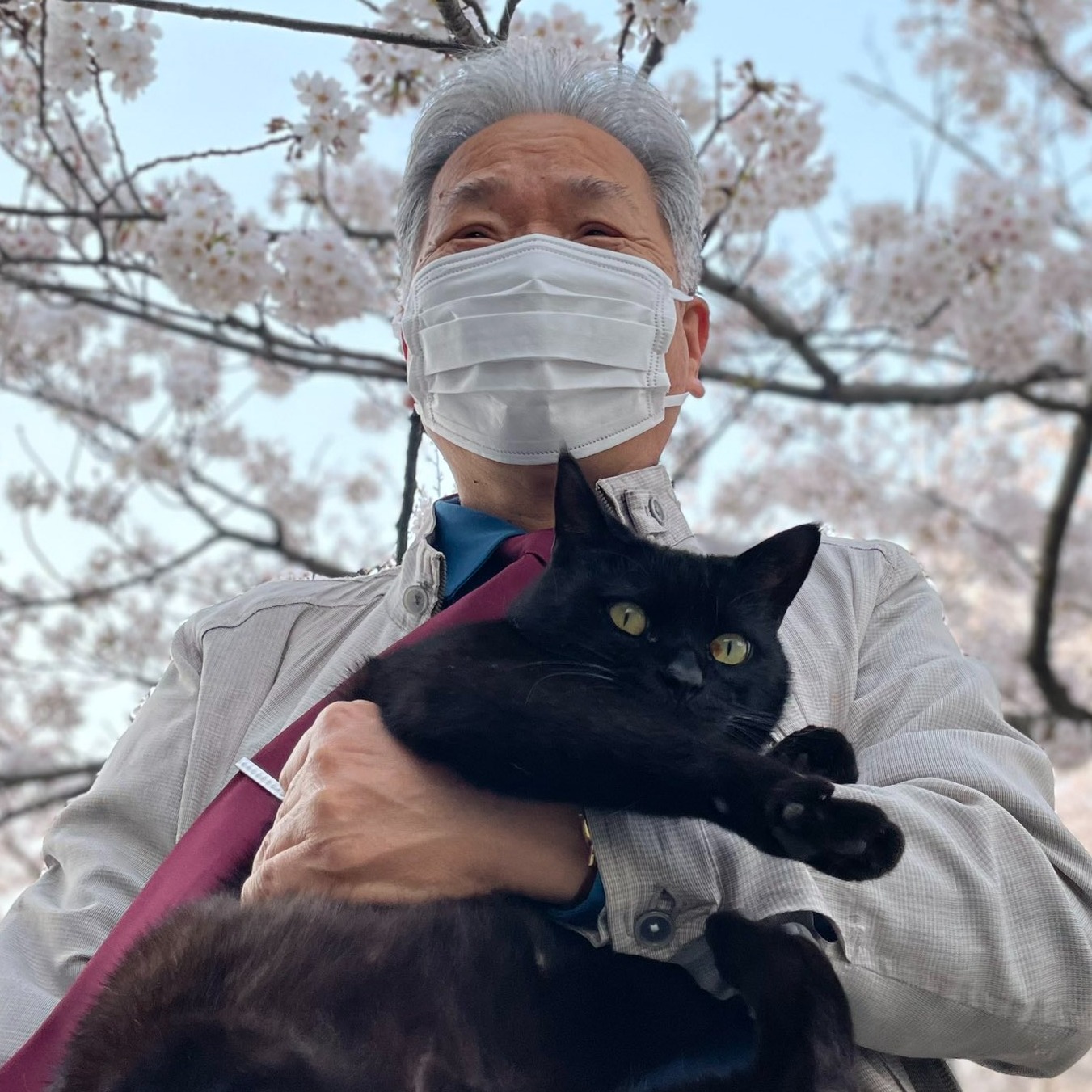 喜愛闖入尾道市美術館的貓前往天國！警衛不捨全日本網民超難過