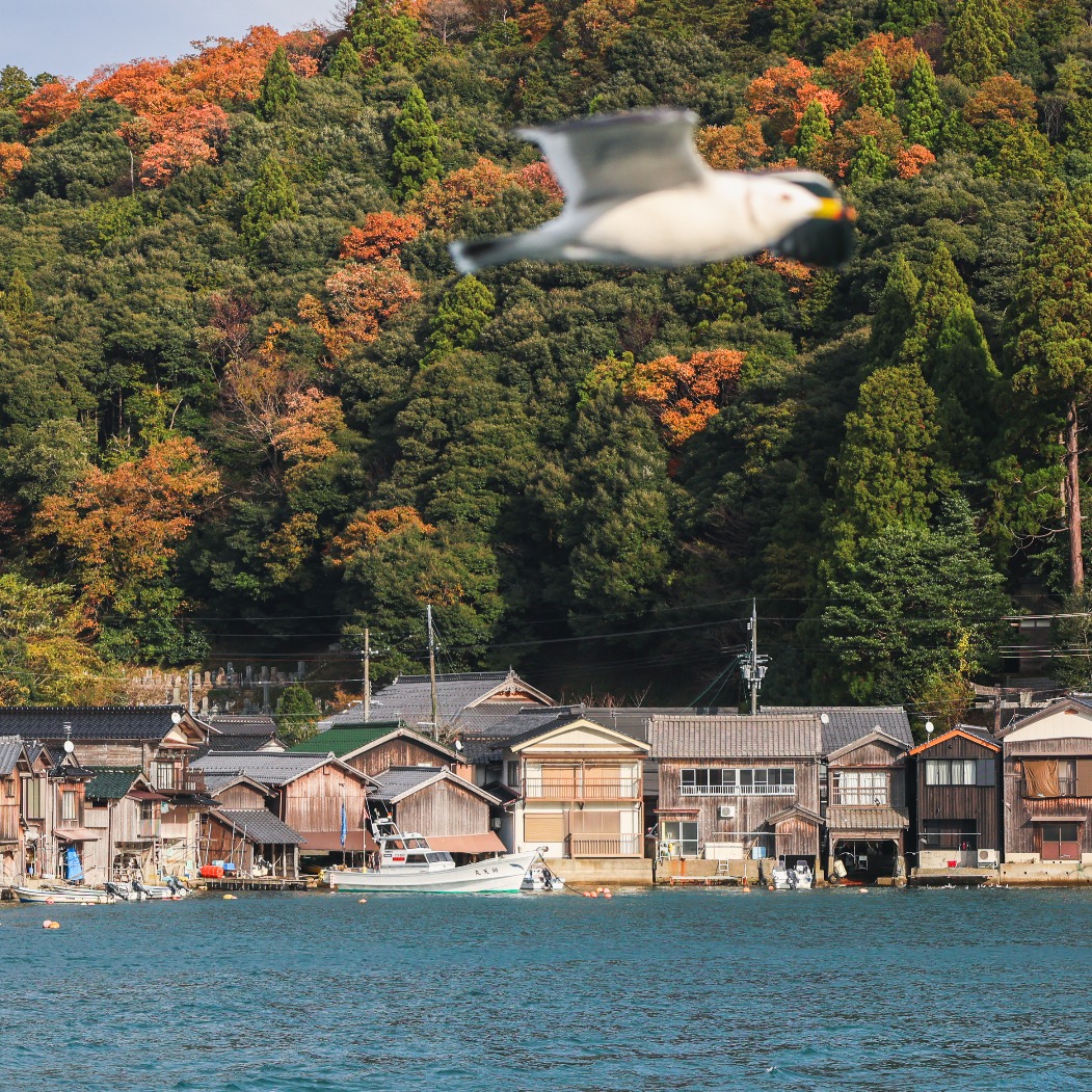 京都自由行景點攻略！出發前往海之京都—伊根、天橋立一日遊