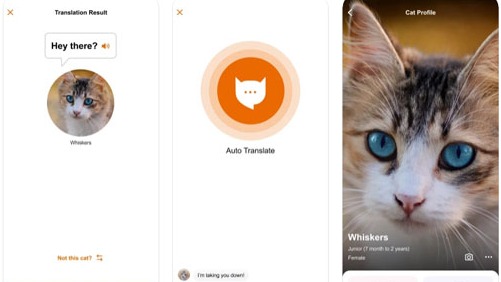推特話題「MeowTalk貓語翻譯機」想知道主子在說什麼的貓奴一定要下載!