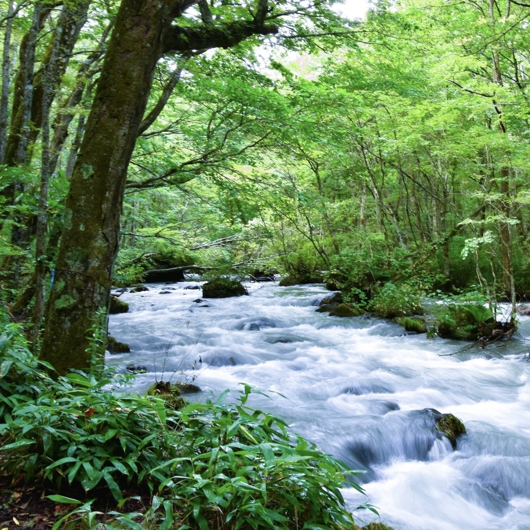 日本人也想逃離夏日熱浪!日本涼爽避暑勝地十選