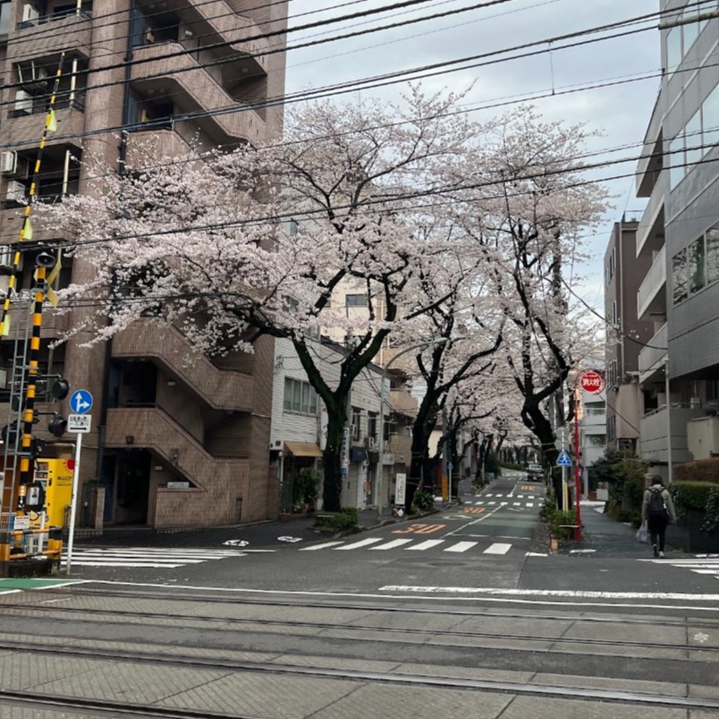 池袋下一站！體驗大塚的下町風情與美食，住過一次就會想回訪的魅力