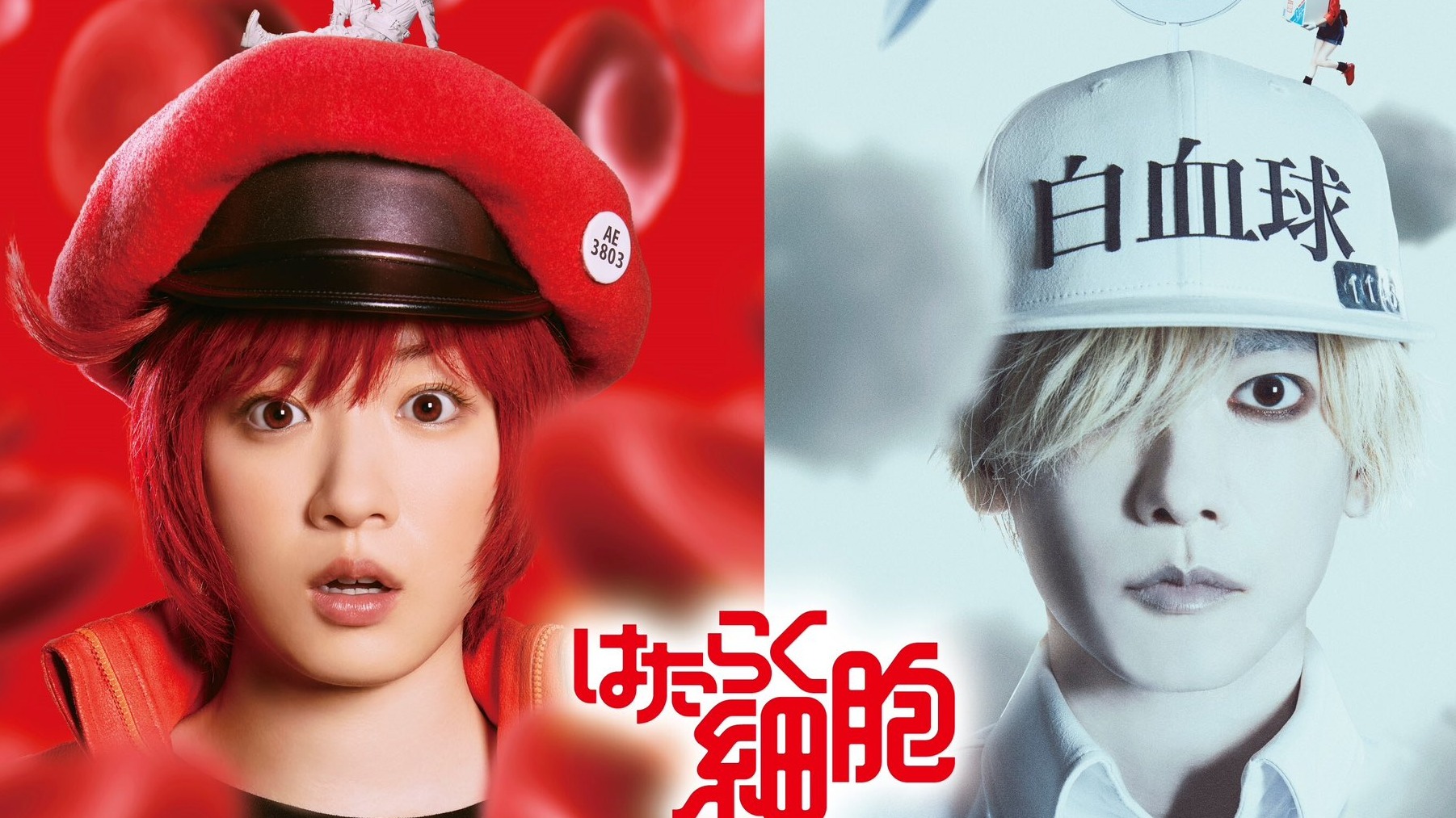 工作細胞真人版?永野芽郁與佐藤健分別飾演白血球與紅血球!帶你回顧作品角色魅力