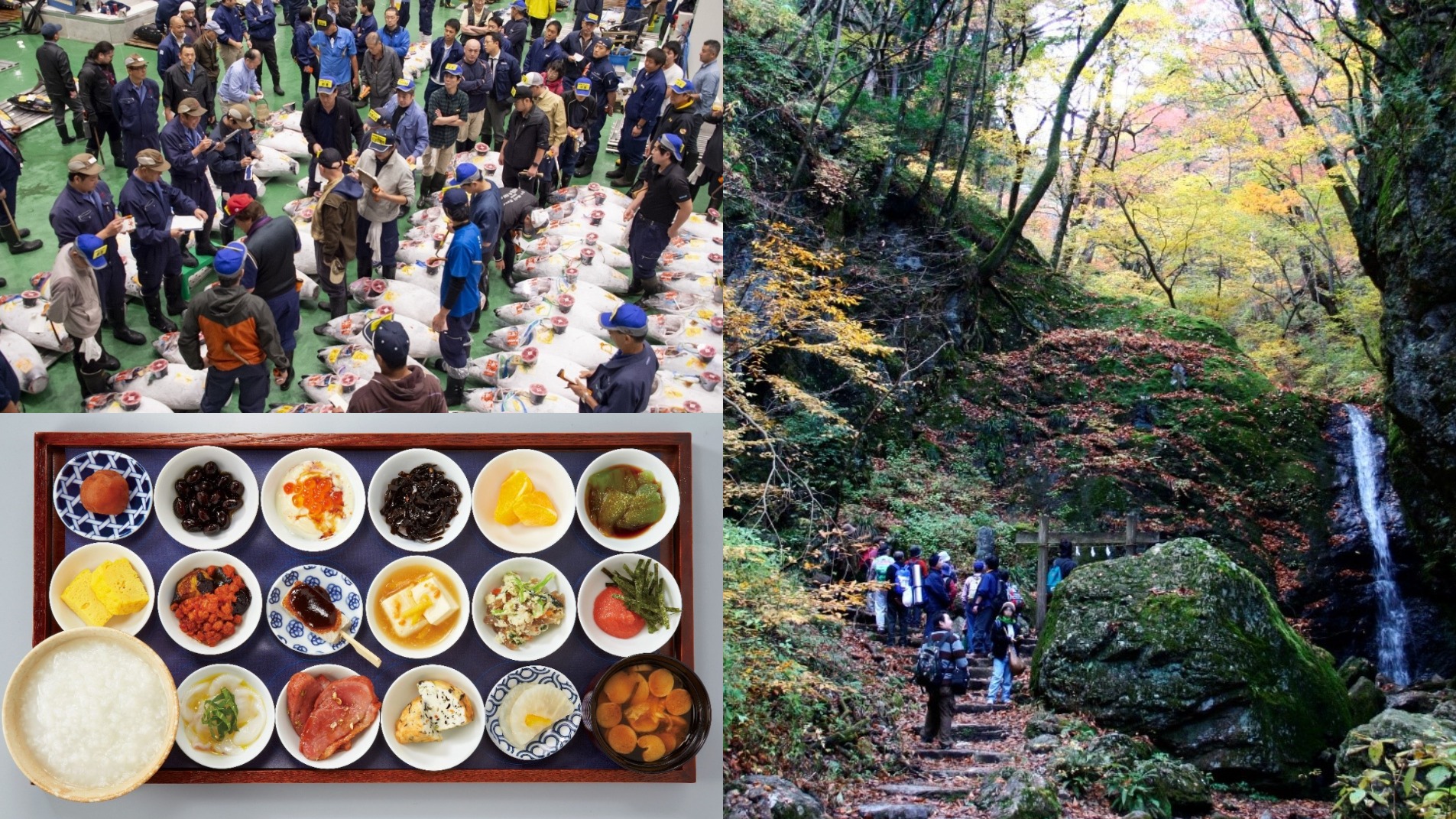 在東京來一趟晨型人朝活遊程！早起的鳥兒這幾個景點絕對不能錯過