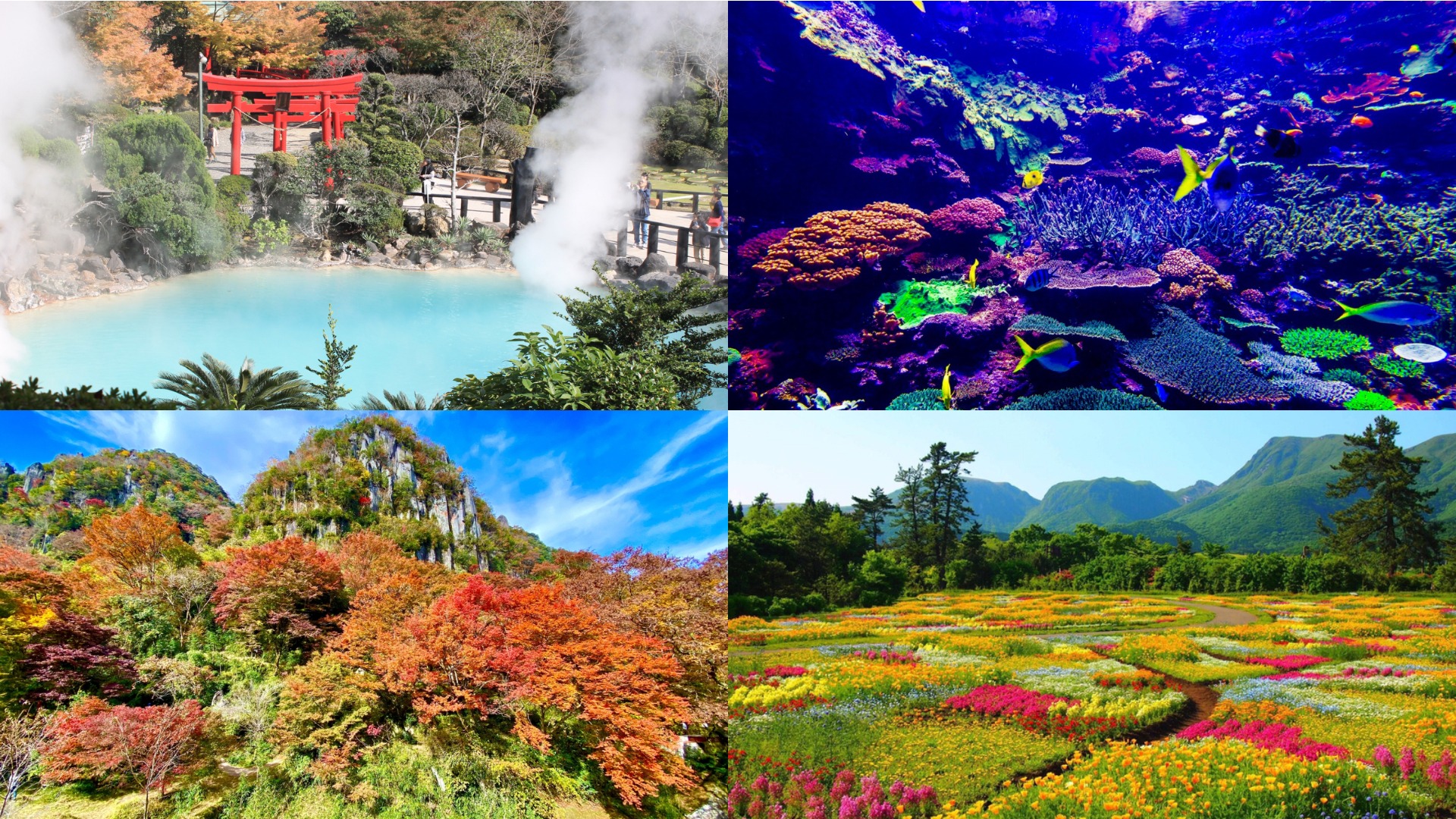 大分縣推薦景點十選！自然景觀與貼近的動物互動一次報你知