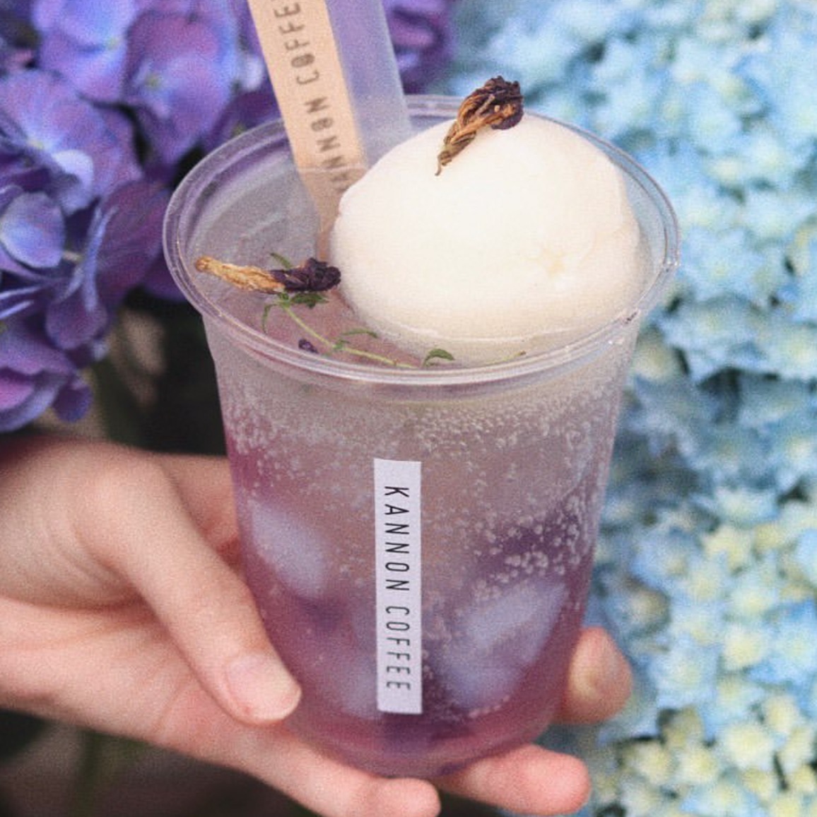 鎌倉繡球花散策之旅,季節限定紫陽花甜點5選