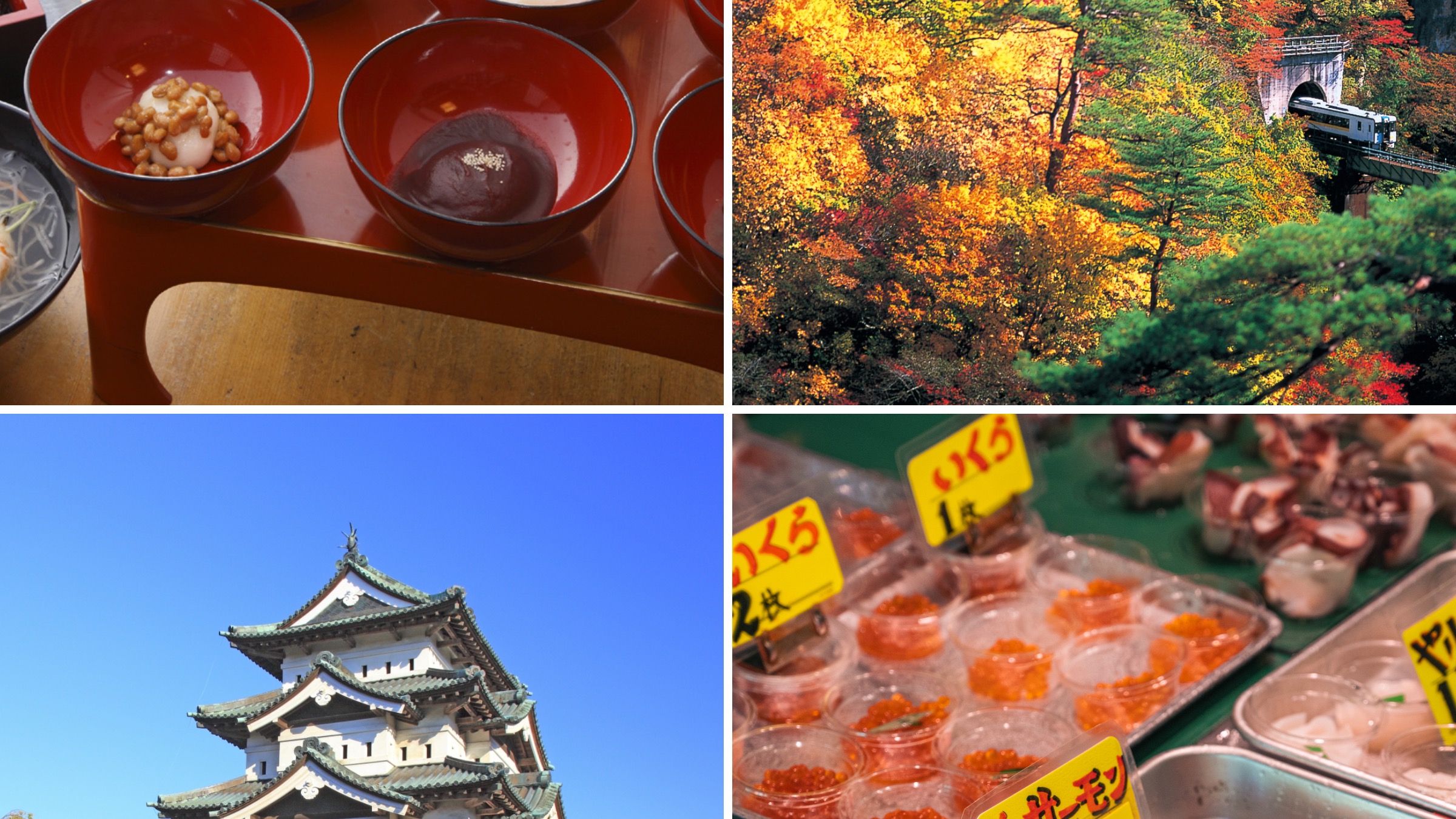 JR PASS周遊券怎麼玩?JR東日本教你5天4夜超值玩遍日本東北