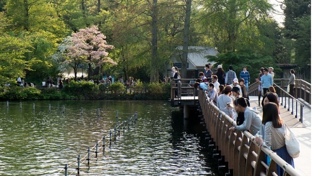 垃圾桶中藏著屍塊!日本著名的完美犯罪「井之頭公園分屍案」