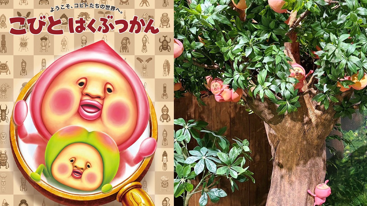 把《醜比頭圖鑑》搬到現實世界，到埼玉「醜比頭博物館」來探索不可思議的醜比頭