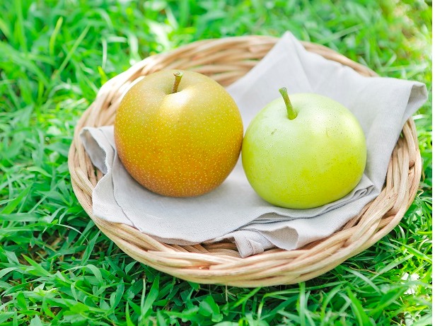 中秋送禮不送月餅？今年改送夢幻水梨如何？送鳥取縣產地直送的「新甘泉梨＆二十世紀梨」讓大家開心！