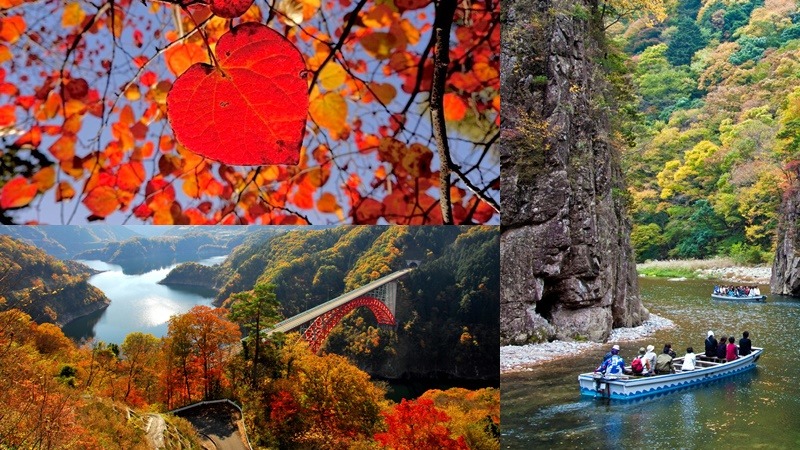 在地人才知道的廣島秋季必訪景點9選!火紅楓葉、心形紅葉、金黃銀杏美到令人窒息