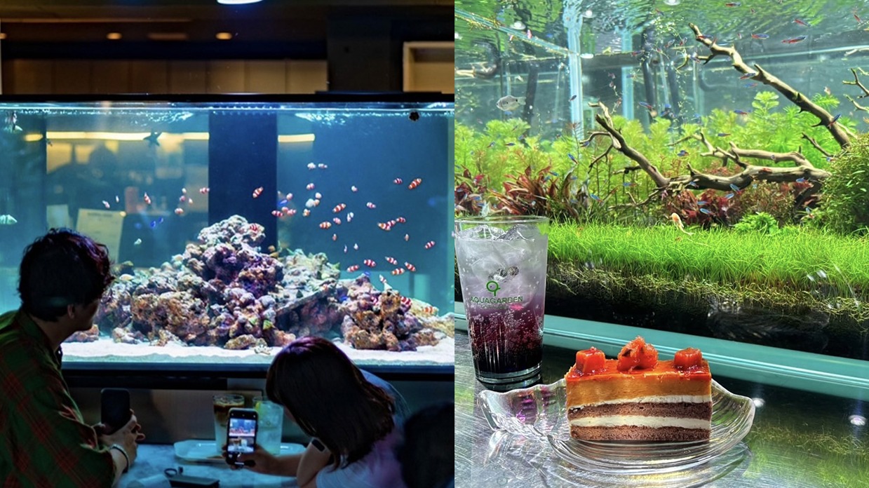 彷彿置身在水族館當中，能觀賞小魚悠游的咖啡廳4選