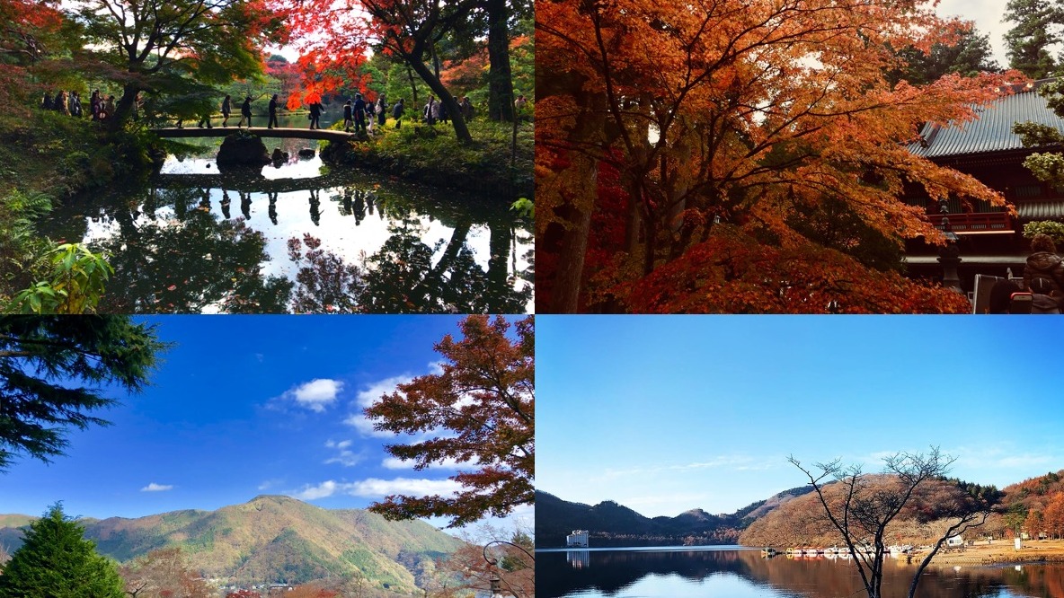 2025關東賞楓景點20選，秋季賞楓行前必看，體驗東京、群馬、茨城各地紅葉絕景