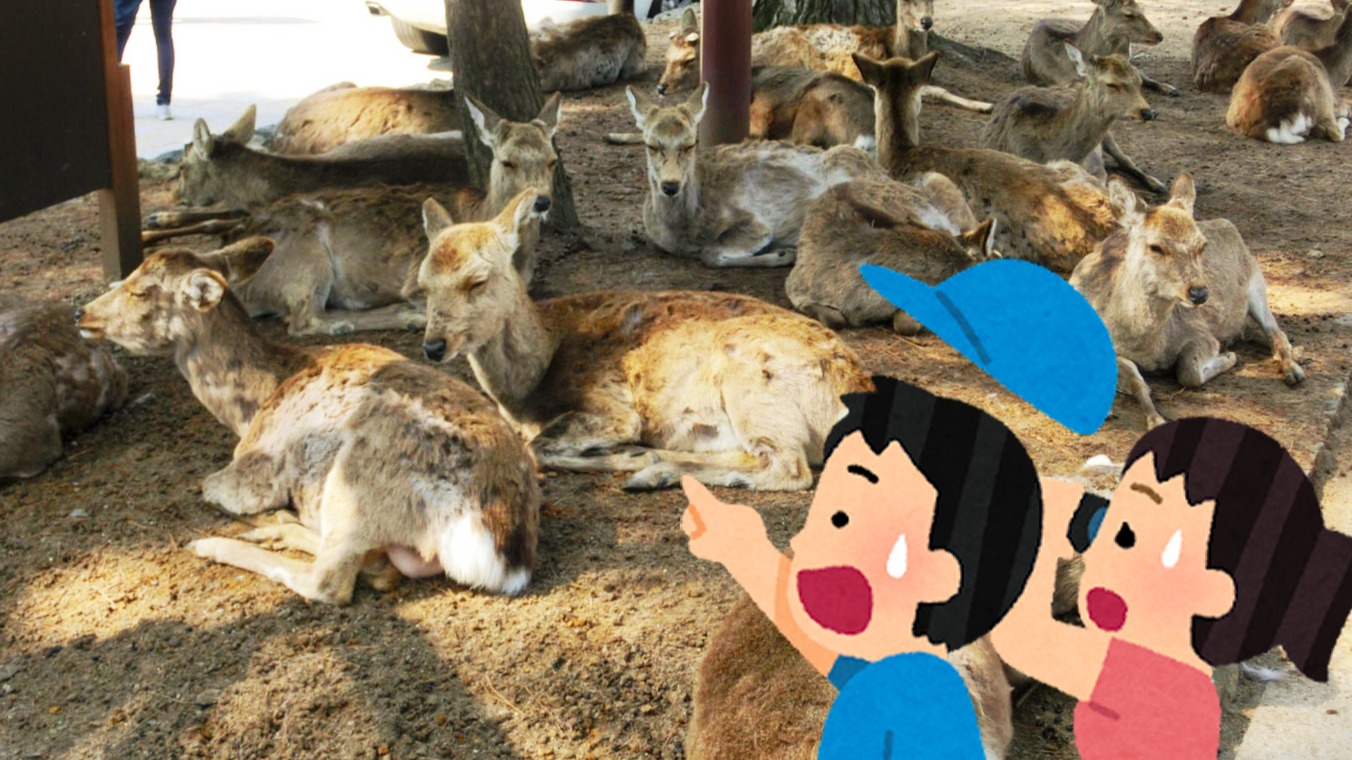 一講這個就知道是日本哪個縣!各地縣民猜猜樂:說到危險駕駛就想到名古屋?