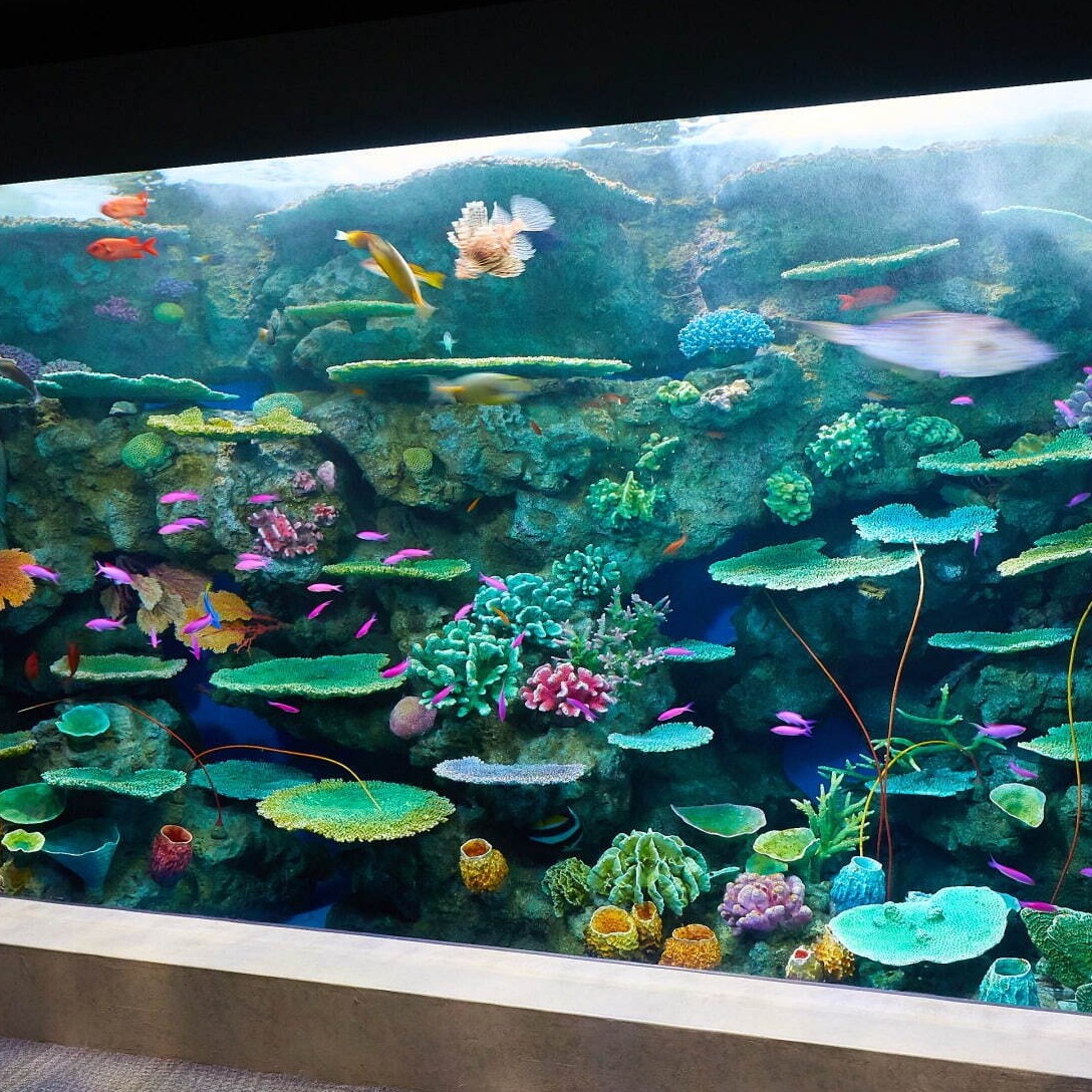 「神戸須磨海洋世界」整修完成，於須磨海浜水族園舊址開幕，西日本唯一有虎鯨的水族館