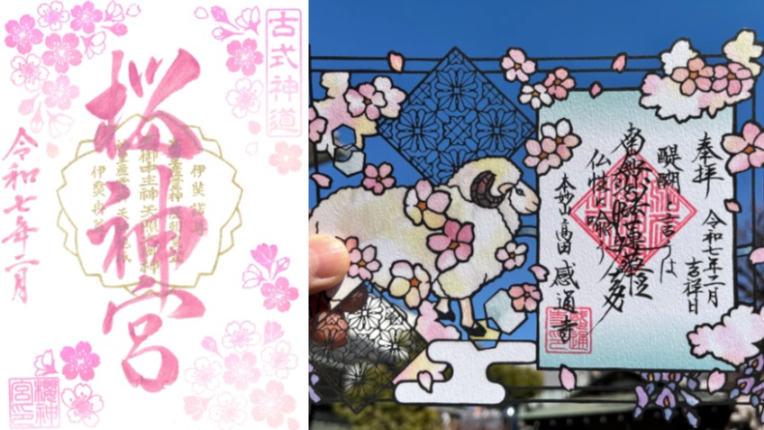 2025 年櫻花御朱印、御守大整理！到神社寺廟參拜賞櫻，也留下美麗的參拜證明