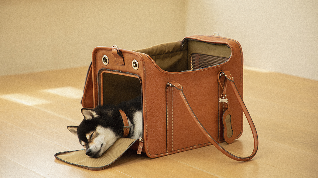 日本頂級皮件品牌 TSUCHIYA KABAN 土屋鞄製造所 首次推出全新「寵物」專用皮件