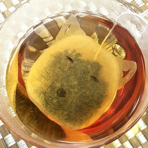 有梗又可愛的動物茶包  最適合聚會時一同享用