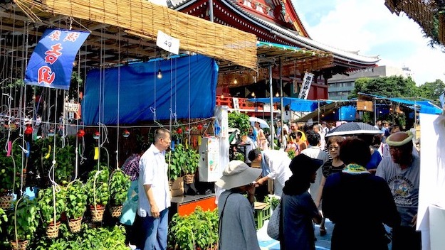 日本夏季淺草必體驗的什麼是四萬六千日?來淺草寺逛鬼燈市集齊做功德吧