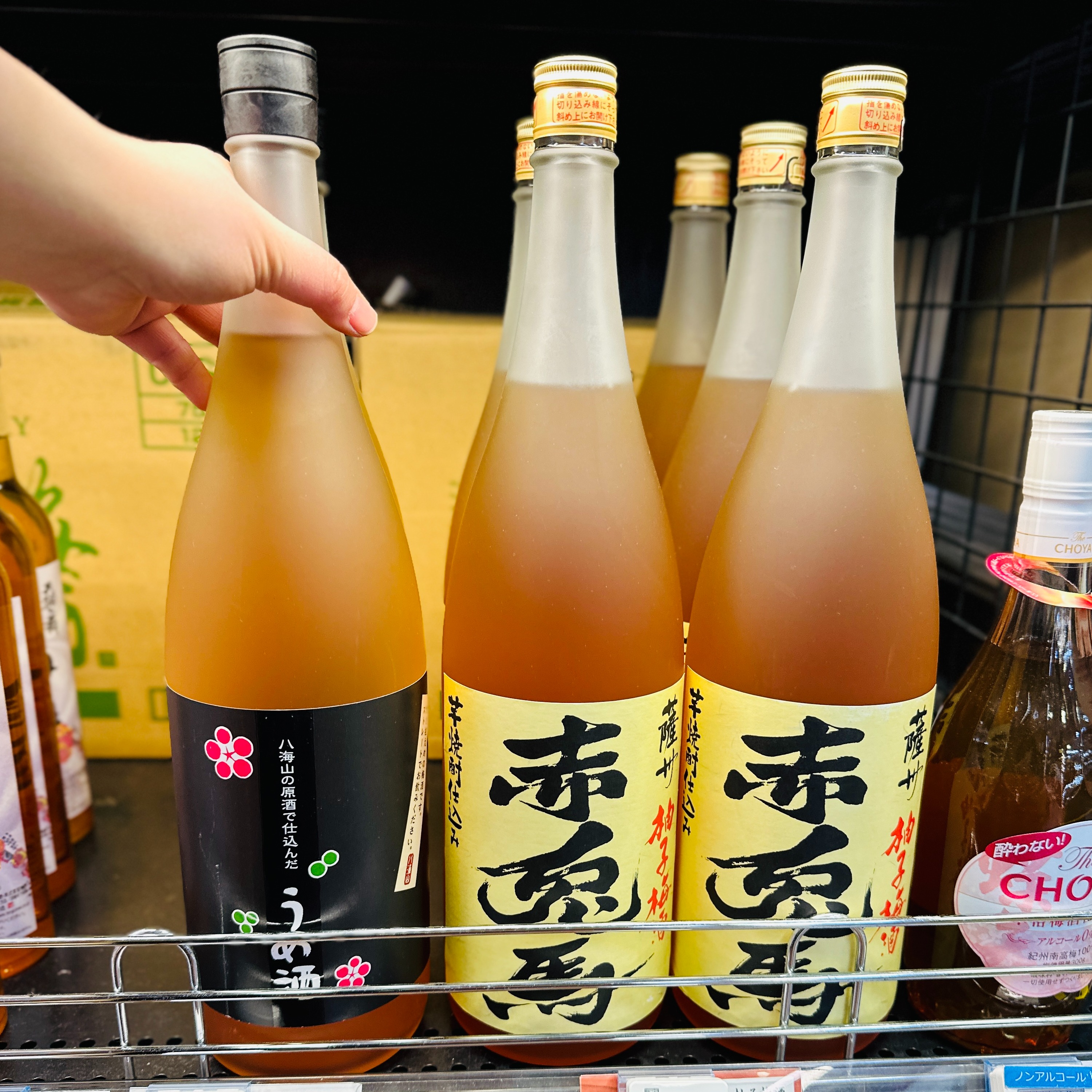根本是梅酒天堂!2024年BIC CAMERA必買梅酒10選