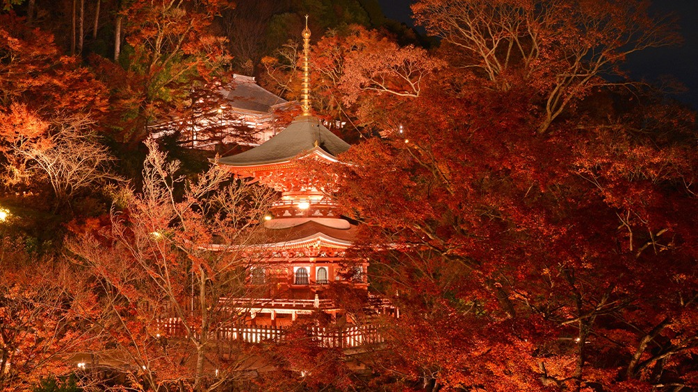 2025關西賞楓景點推薦20選，大阪、京都、奈良、兵庫紅葉攻略行程就看這一篇