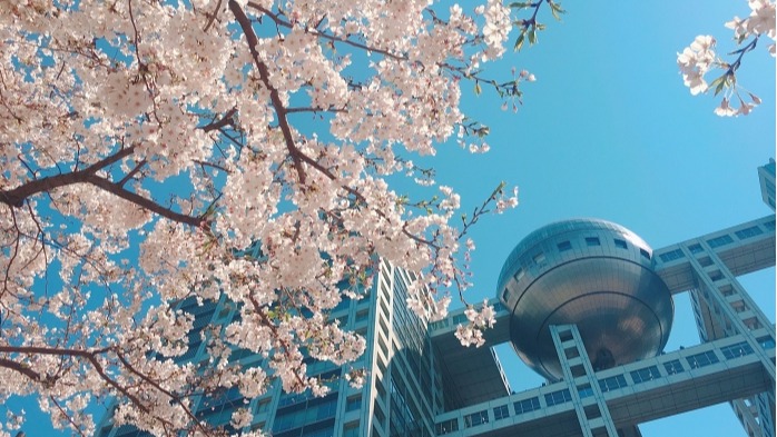 【今天換我推】富士電視台中文小編歐醬  在日劇誕生地上班的超夢幻工作是什麼體驗？