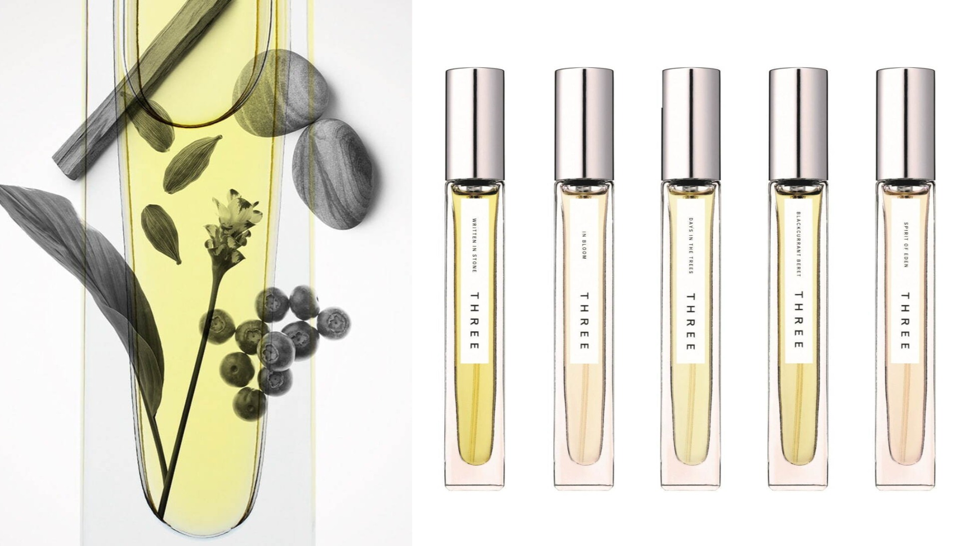 日本人氣專櫃彩妝品牌THREE香水新登場！
