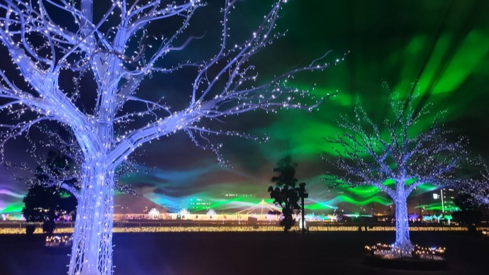 本週外國人免費入園！2022年東京大井競馬場「Tokyo Mega Illumi 」精彩燈光秀登場