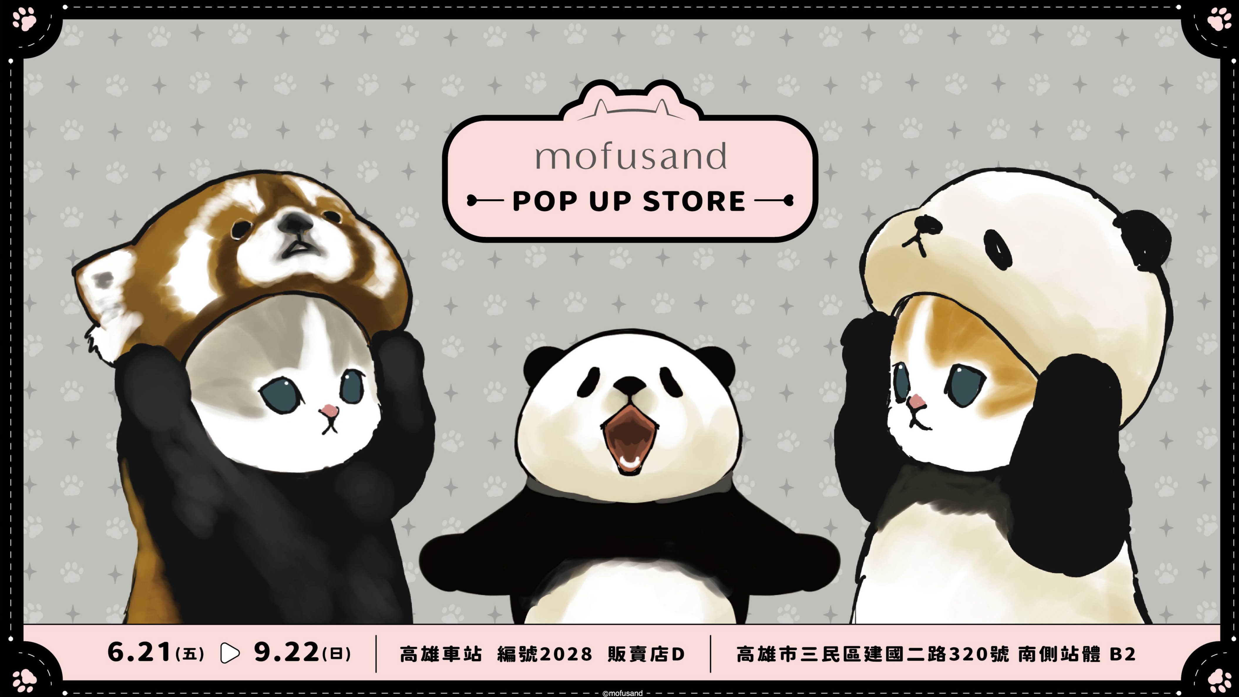 前進高捷!日本超人氣貓咪《貓福珊迪》期間限定店6月21日高雄捷運療癒出沒