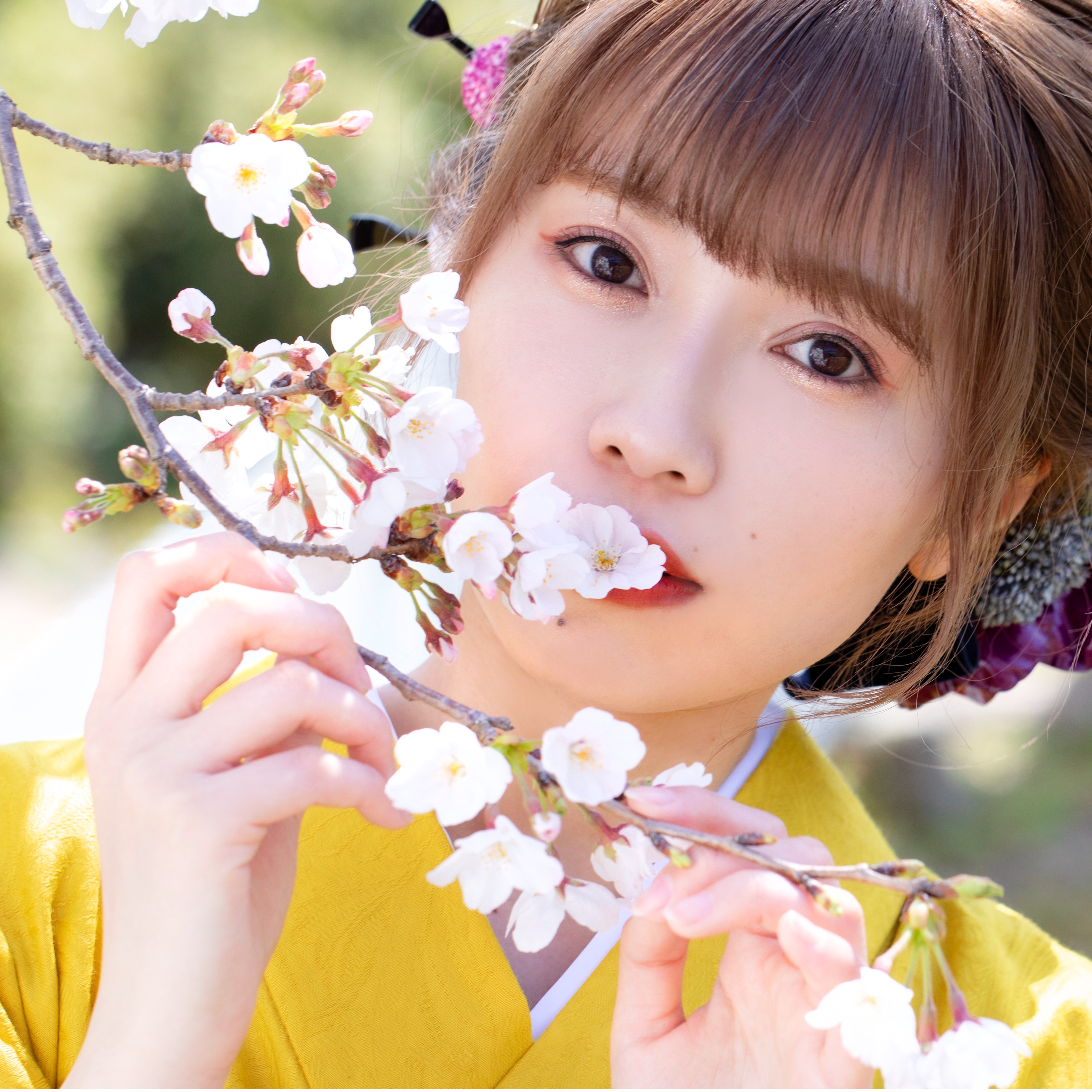 以翻唱動畫及Vocaloid歌曲聞名的網路歌手Singing Cosplayer Hikari，改名為ひなたひかり重新展開音樂活動！