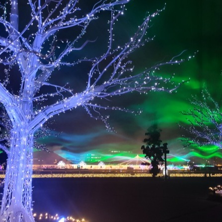 本週外國人免費入園!2022年東京大井競馬場「Tokyo Mega Illumi 」精彩燈光秀登場