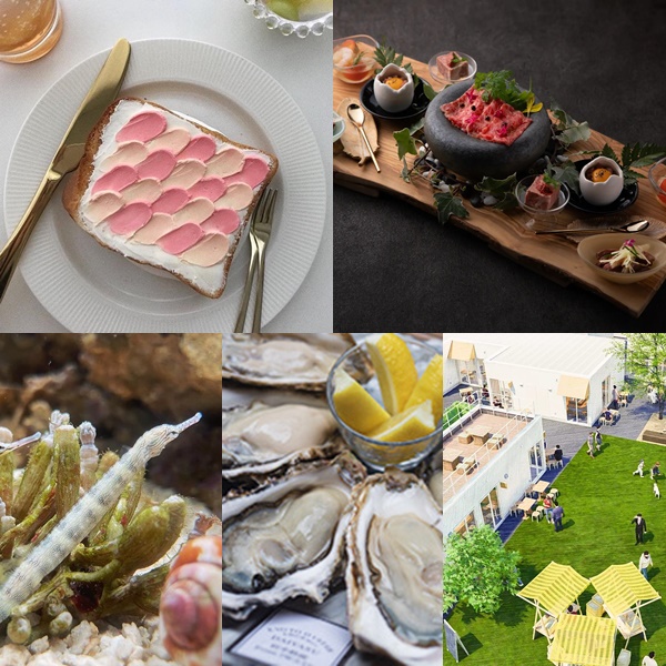 2022年七月日本新開幕推薦店5選！充滿亮點的全新設施與改裝再出發的老舖每間都想去