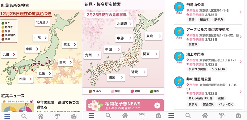一看就知道哪裡還有櫻花和楓葉！超好用的日本神APP《Weather News》