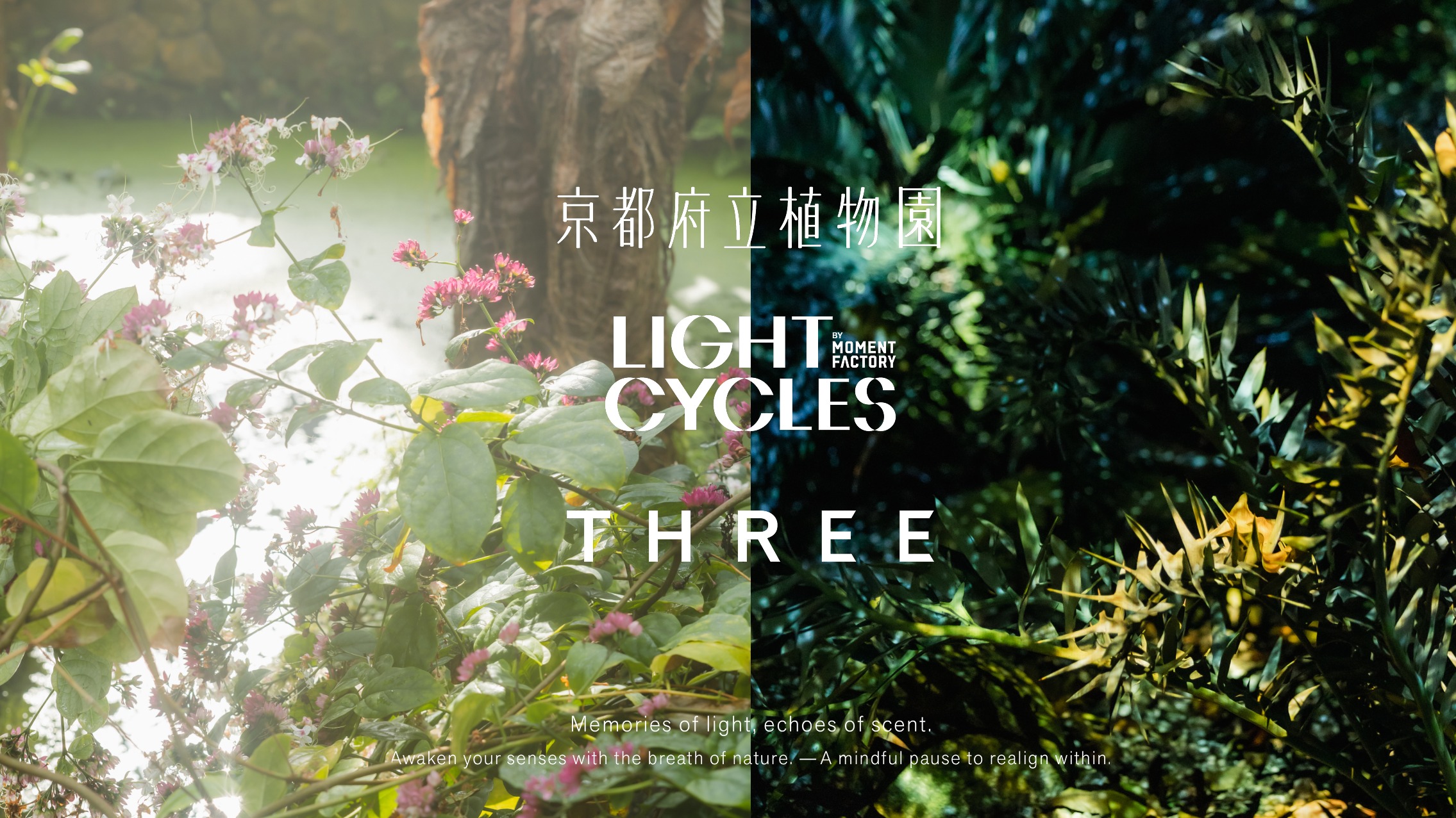THREE × 京都府立植物園《THE ROOM OF（IN）SCENTS》打造植物與香氛沉浸式體驗