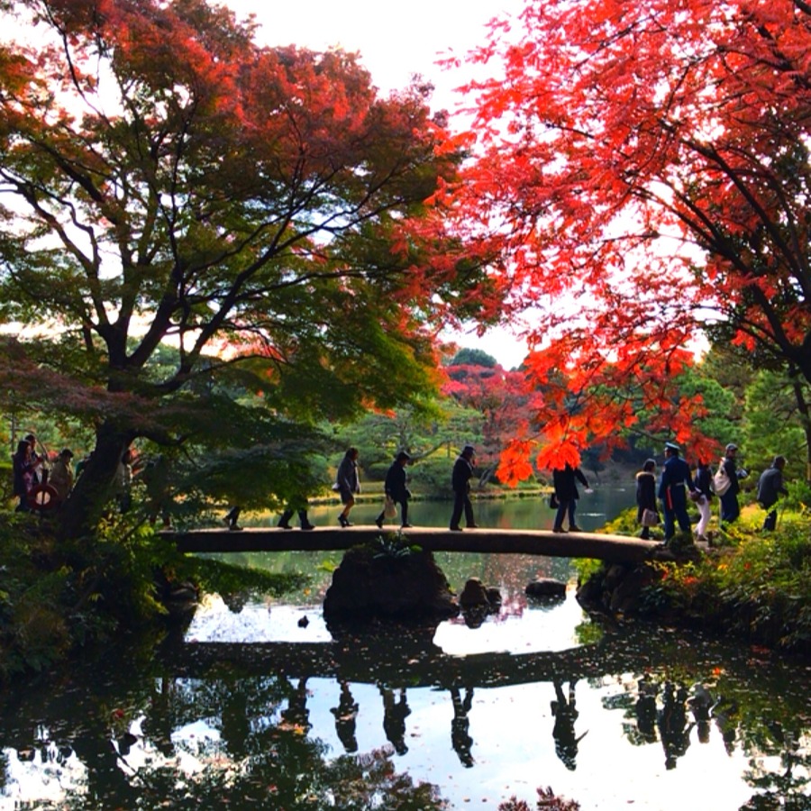 2025關東賞楓景點20選,秋季賞楓行前必看,體驗東京、群馬、茨城各地紅葉絕景