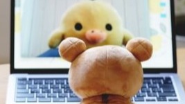 萌萌拉拉熊家族IG影片超療癒影片精選 追蹤起來每天看十遍！