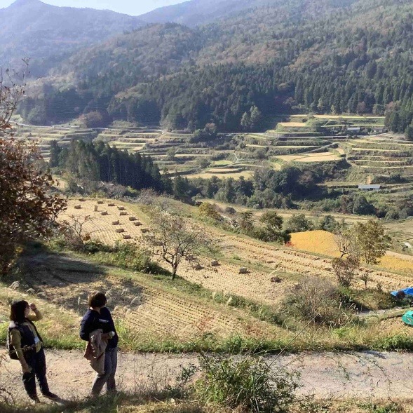 黑潮君為台鋼雄鷹應援 OMO7高知正式開幕 「滿喫高知深度旅」觀光計畫啟動