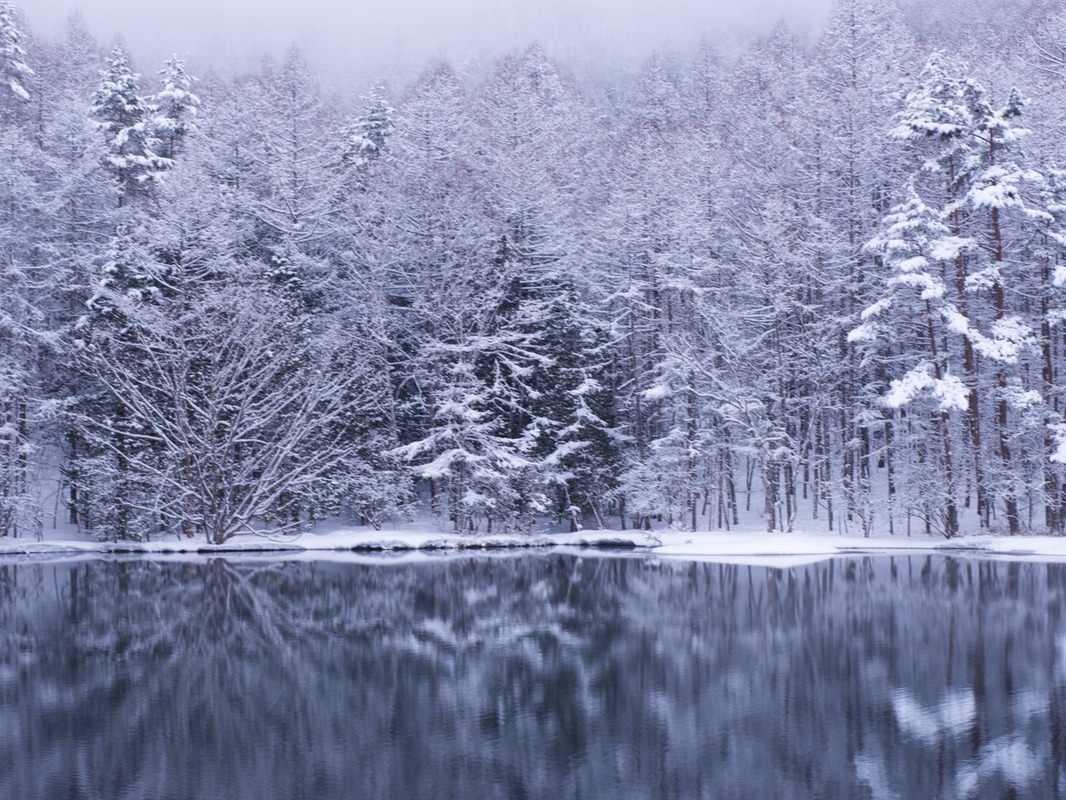 長野縣必去景點就是他！御射鹿池：隱身在高山中的絕美仙境，此生必見！