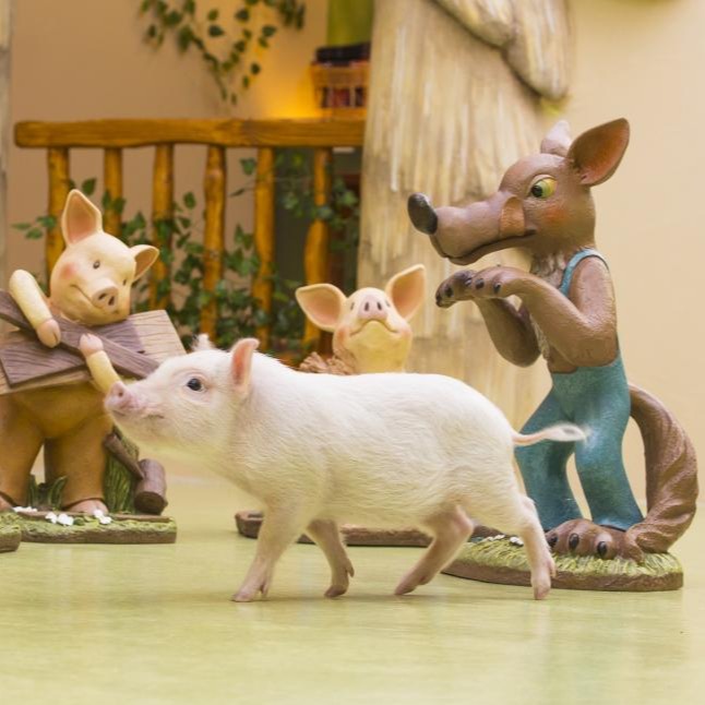 日本魅力無法擋！KKday挖掘東京特色新玩法，加碼東京機票萬元有找