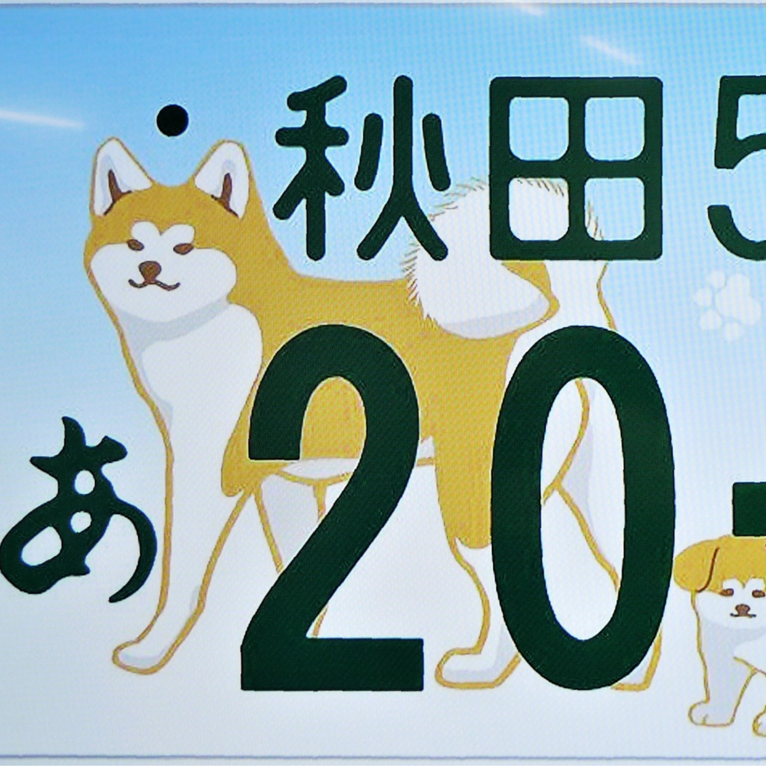 日本最萌最可愛的車牌，秋田犬特別車牌引起廣大網友關注