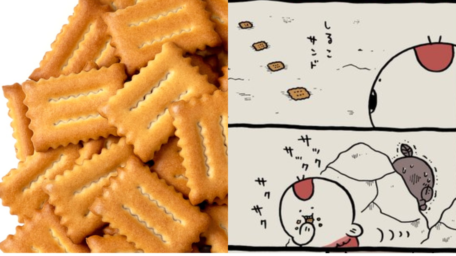 吉伊卡哇效應!神秘的點心「紅豆夾心餅乾」衝上流行趨勢,背後竟隱藏恐怖故事?