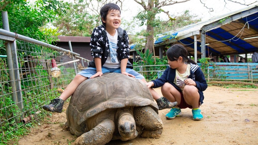 沖繩親子旅遊必去!來「NEOPARK OKINAWA」與療癒動物親密接觸!