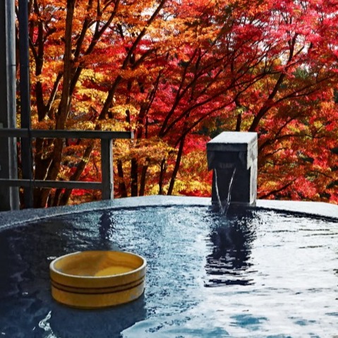 2024年關東必去超級錢湯4選!平價高CP值的高級版錢湯一定要來體驗