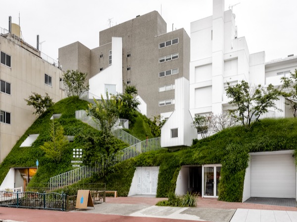 群馬縣「白井屋HOTEL」300年日式旅館重生為藝術精品飯店, 化身城市中的小山丘最佳約會景點!