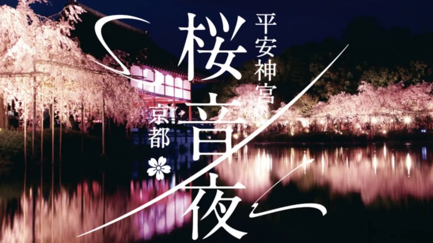 賞夜櫻必訪！京都平安神宮「櫻音夜2026」紅枝垂櫻點燈 × 春夜音樂會浪漫登場